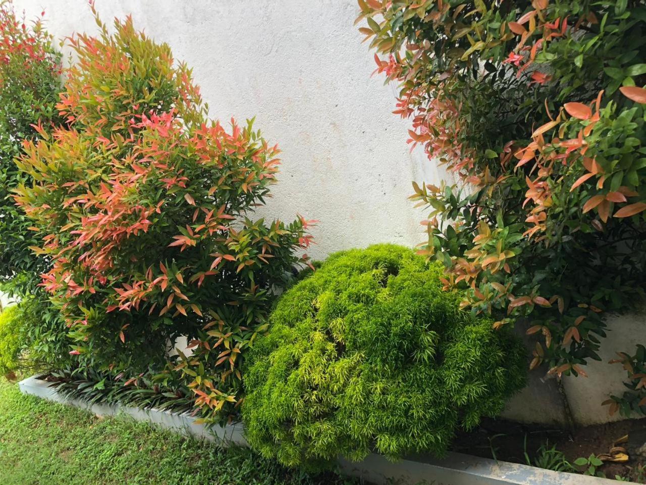 Vidushi Home Minuwangoda ภายนอก รูปภาพ