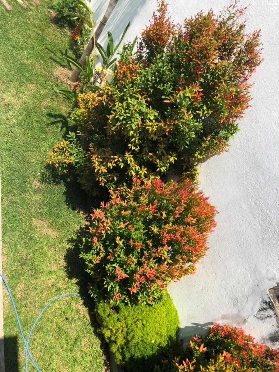 Vidushi Home Minuwangoda ภายนอก รูปภาพ