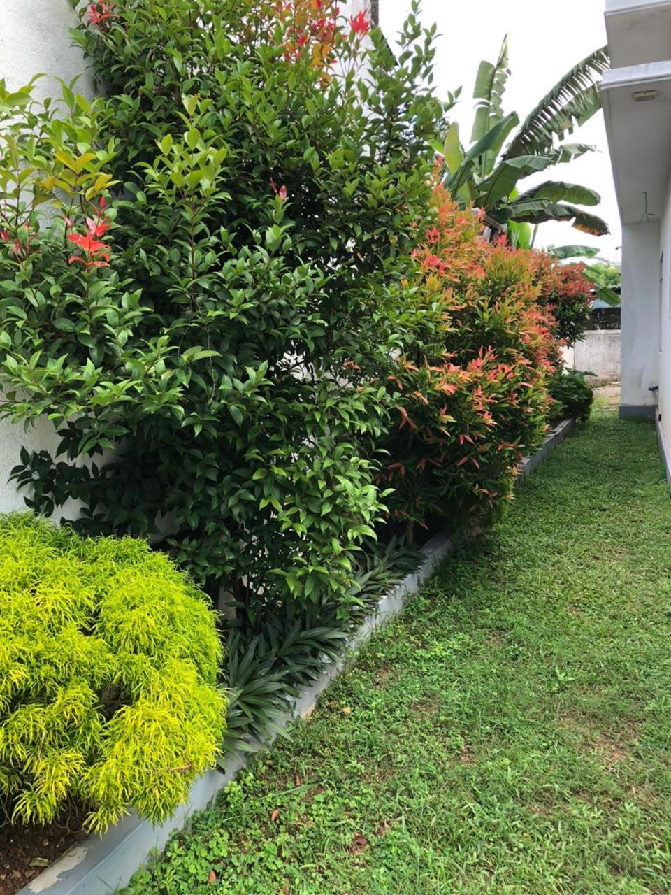 Vidushi Home Minuwangoda ภายนอก รูปภาพ